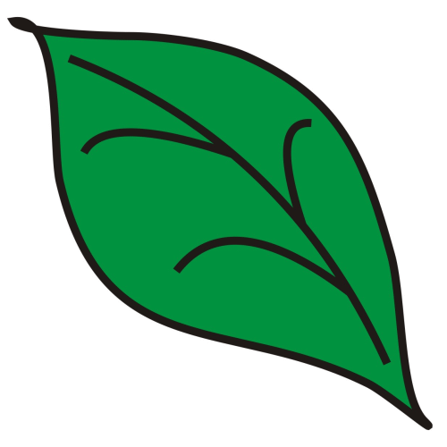 Free leaf cliparts.