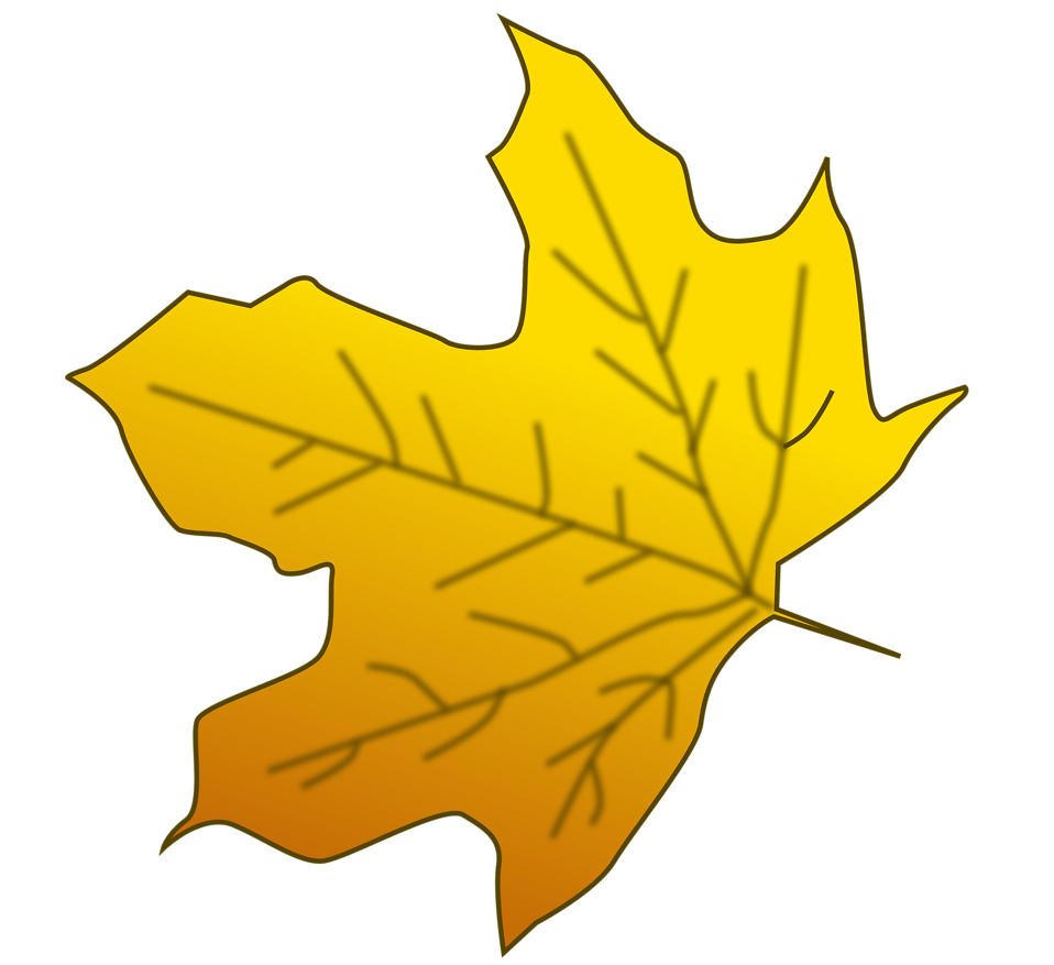 Illustration of a yellow autumn leaf