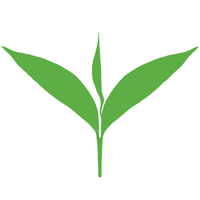 Clipart leaves green.
