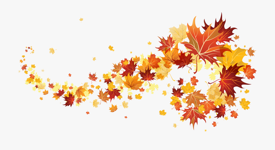 Transparent Background Fall Leaves Png