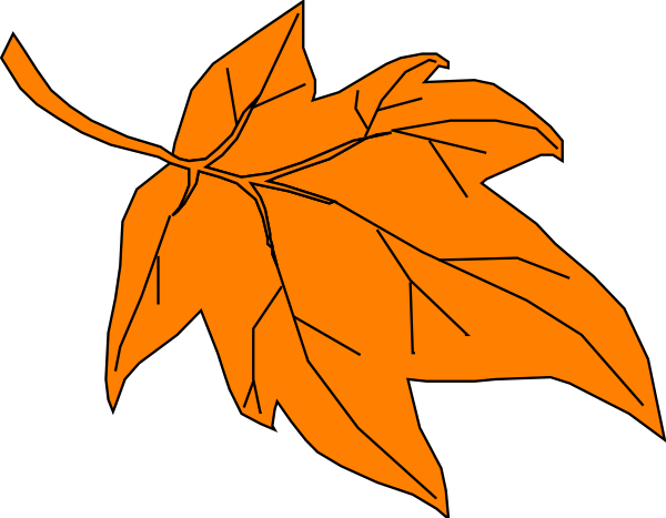 Fall leaves orange.