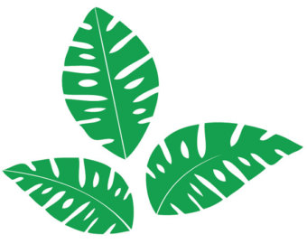 Free Jungle Leaves, Download Free Clip Art, Free Clip Art on