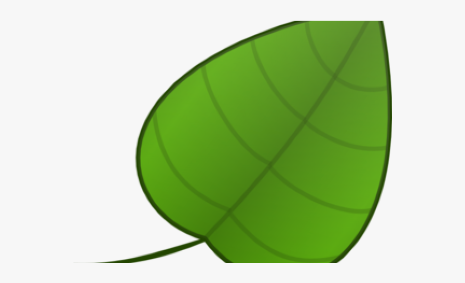 Green Leaves Clipart Simple Leaf
