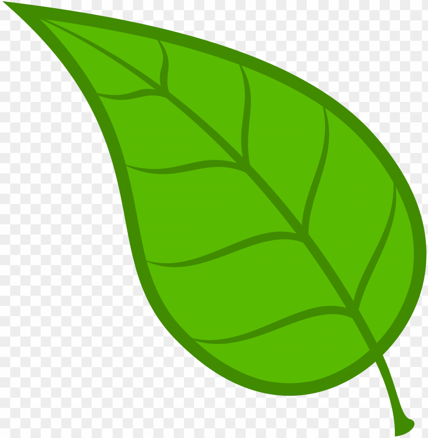 Minimalist tea leaf.