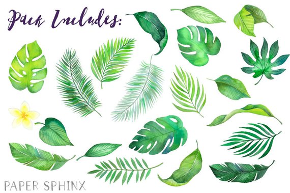 Watercolor Tropical Leaves Clipart