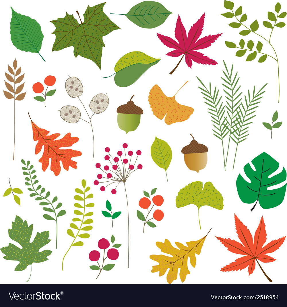 Leaves clipart.