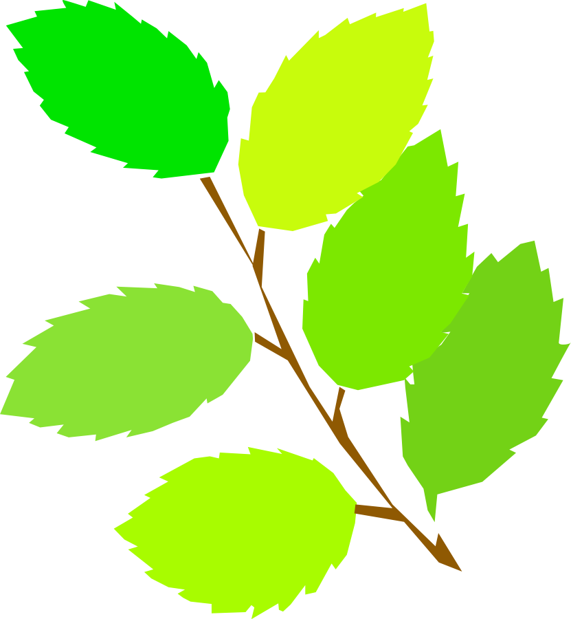 Leaves leaf clip.