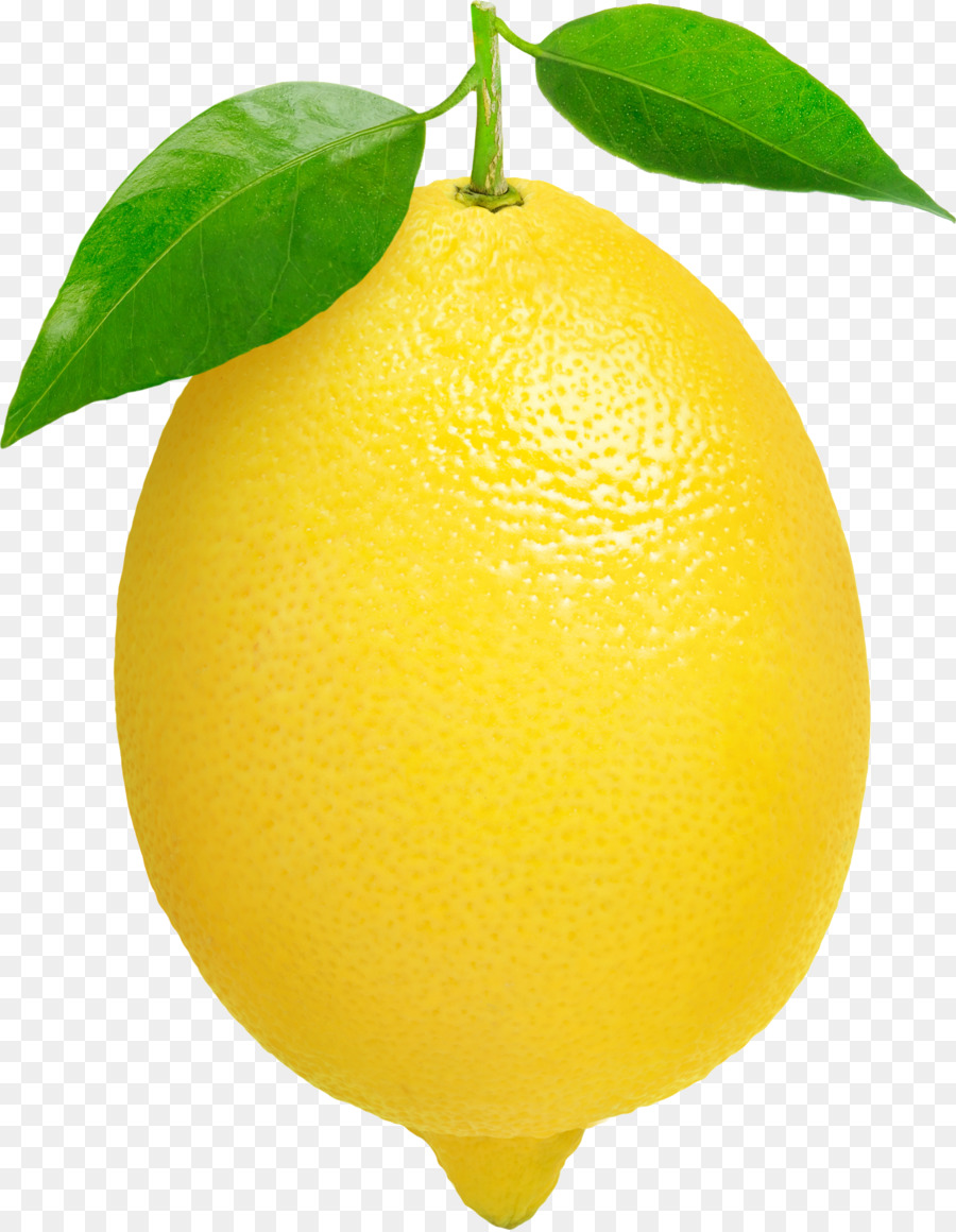 Lemon Clip art