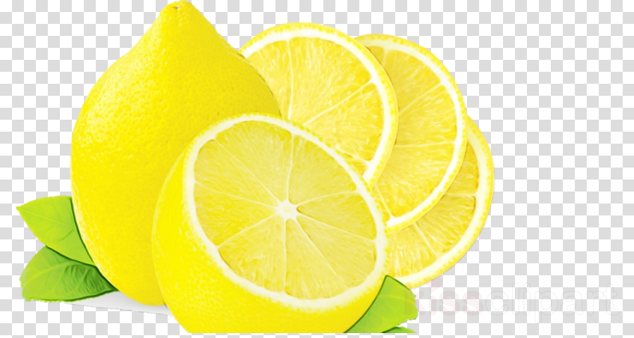 Lime lemon citrus yellow key lime clipart