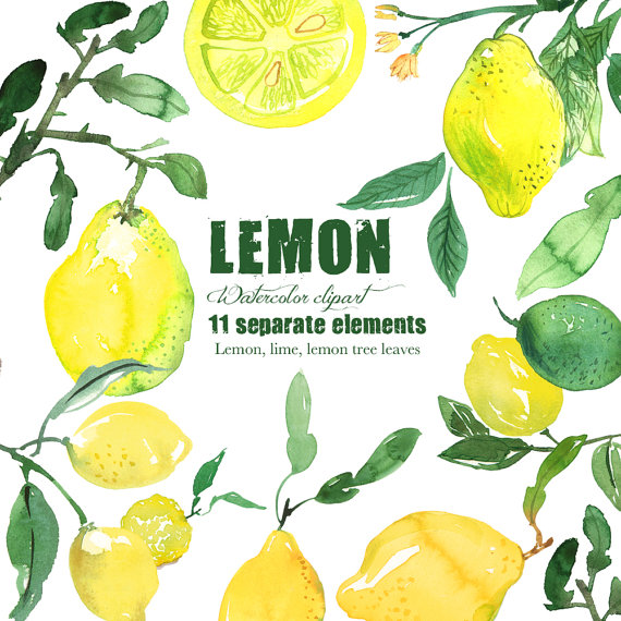 Lemon clipart, Lemon watercolor clipart, Citrus clipart