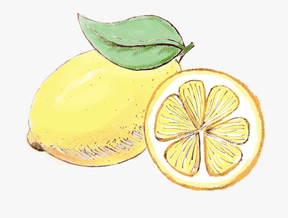 Hand Painted Watercolor Lemon Simple Png And Psd