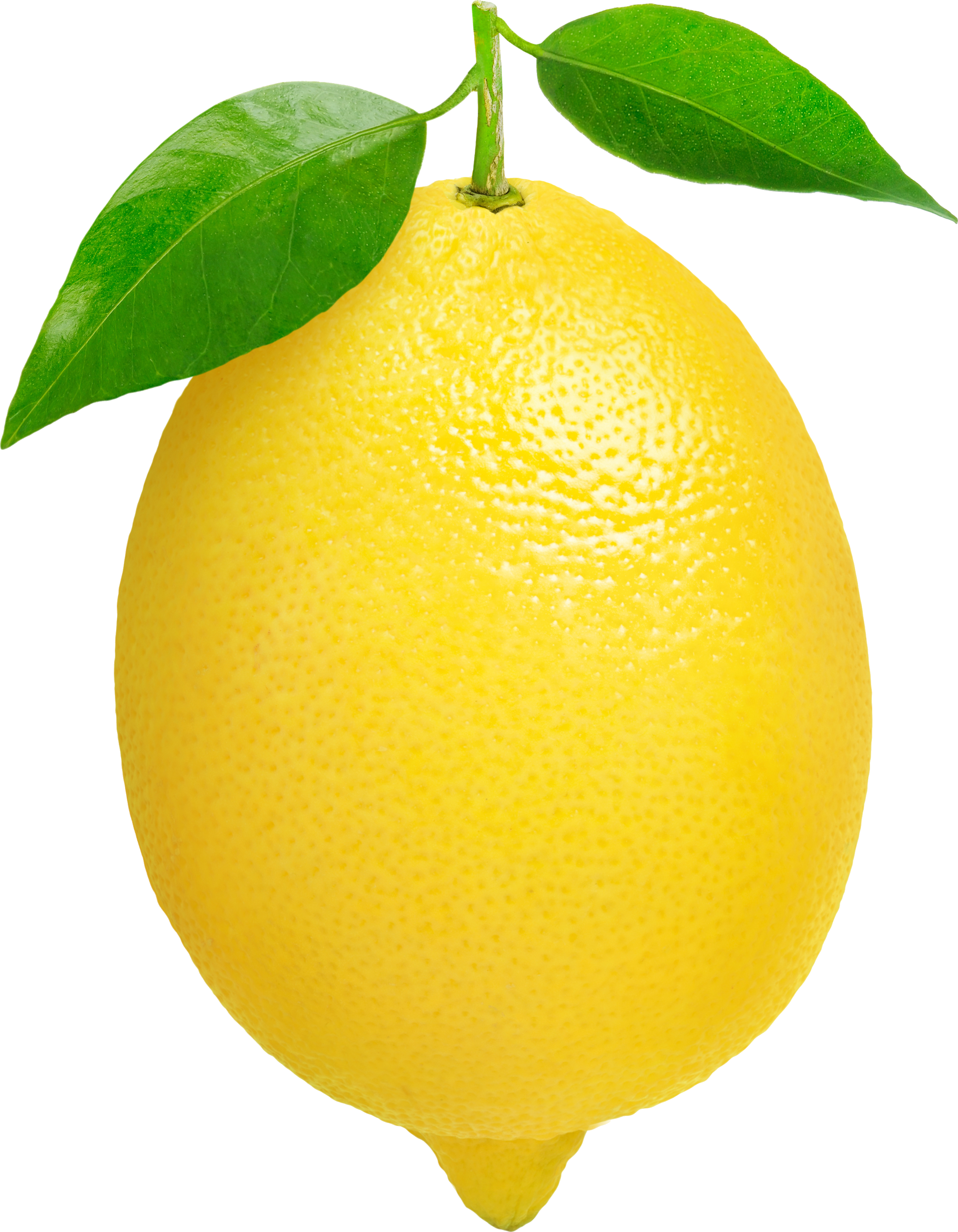 Lemon clipart transparent.