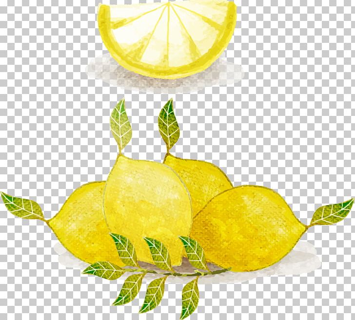 lemonade clipart watercolor