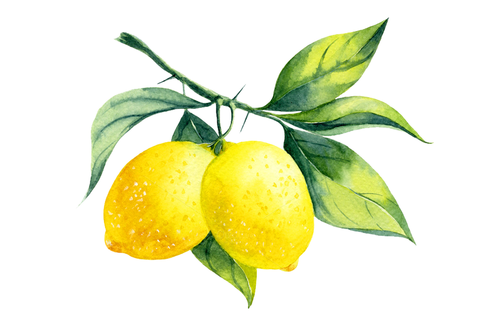 Lemonade clipart watercolor, Lemonade watercolor Transparent