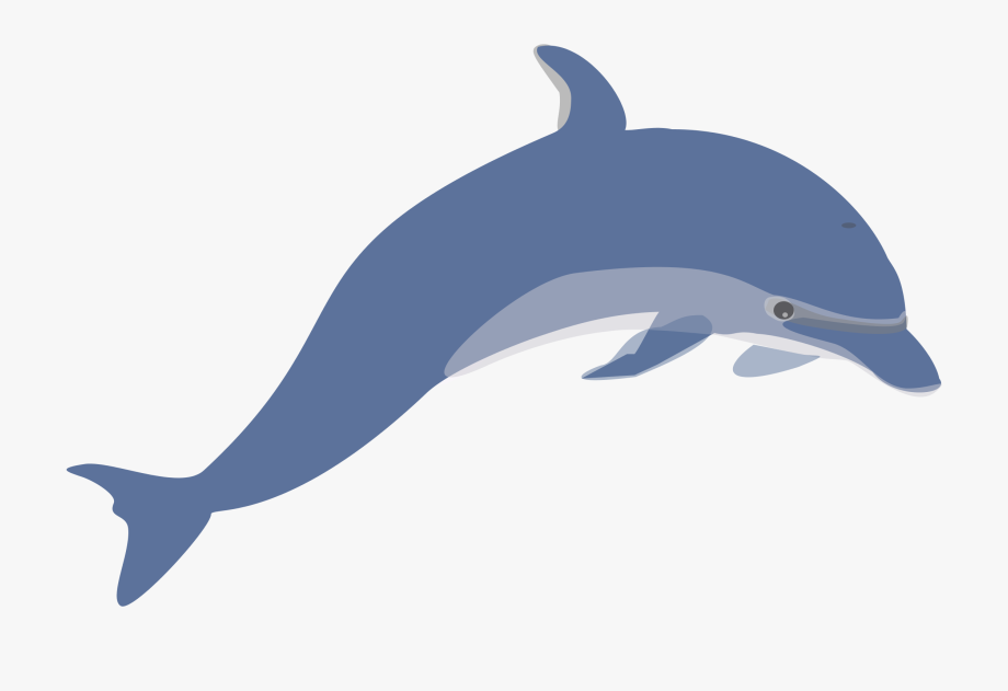Dolphin cliparts image.