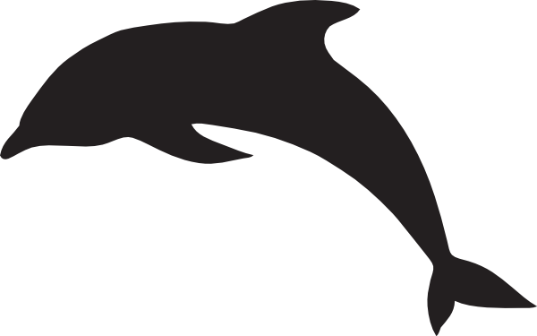 Dolphin icon png.