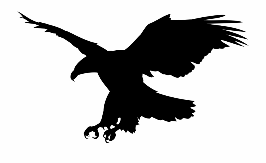 licence free clipart eagle