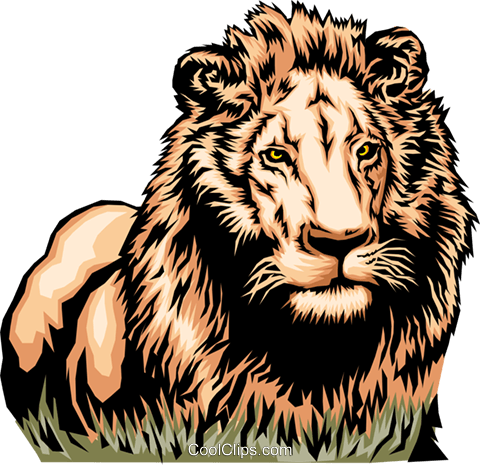 African lion Royalty Free Vector Clip Art illustration