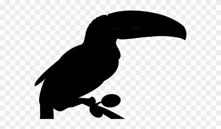 Toucan License Free Clipart Beak Bird Clip Art