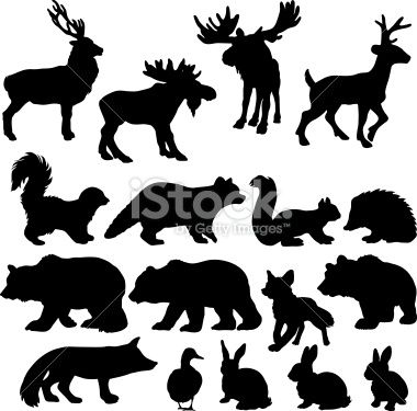 Silhouettes of a variety of woodland animals