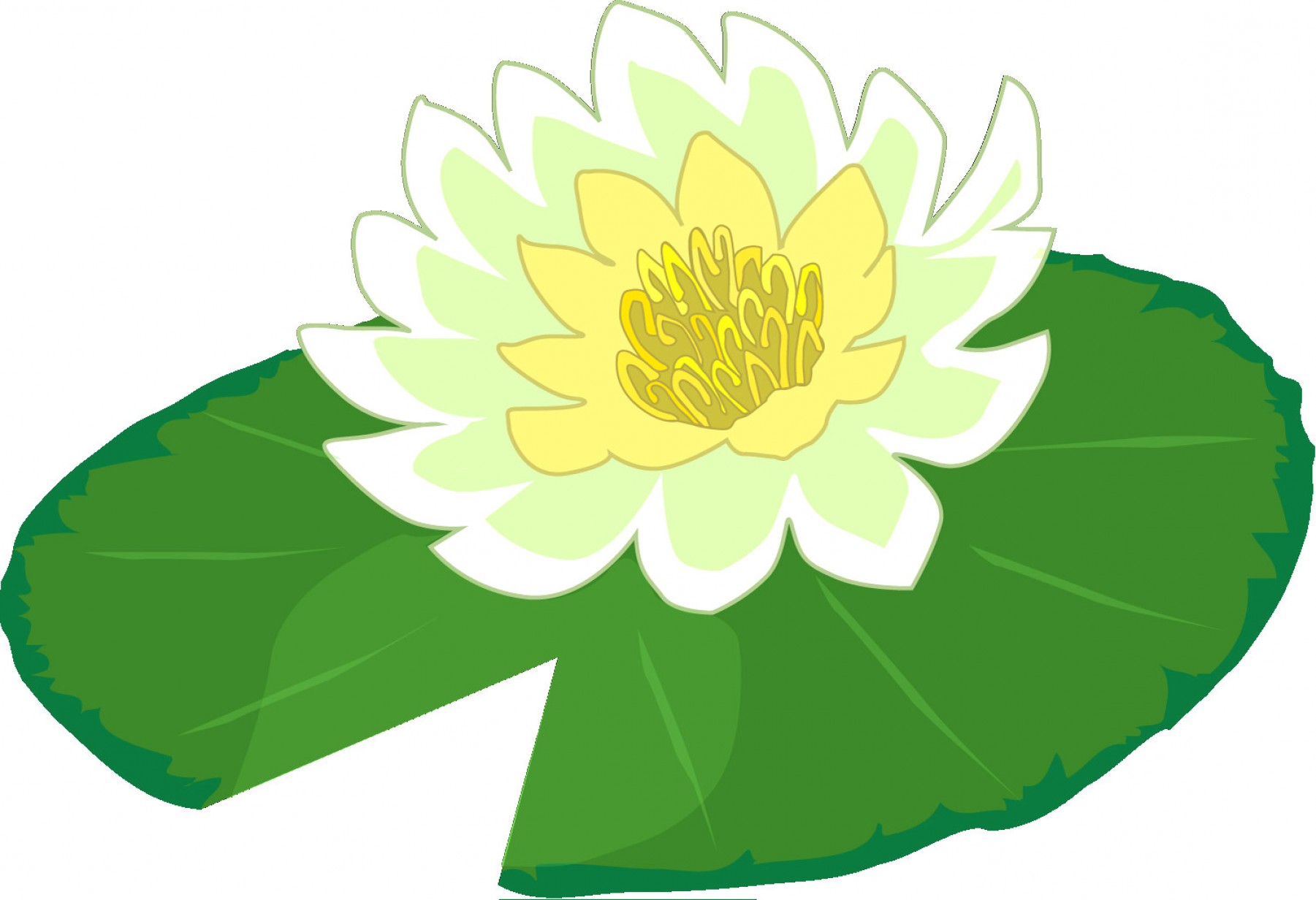 Lily pad vector.