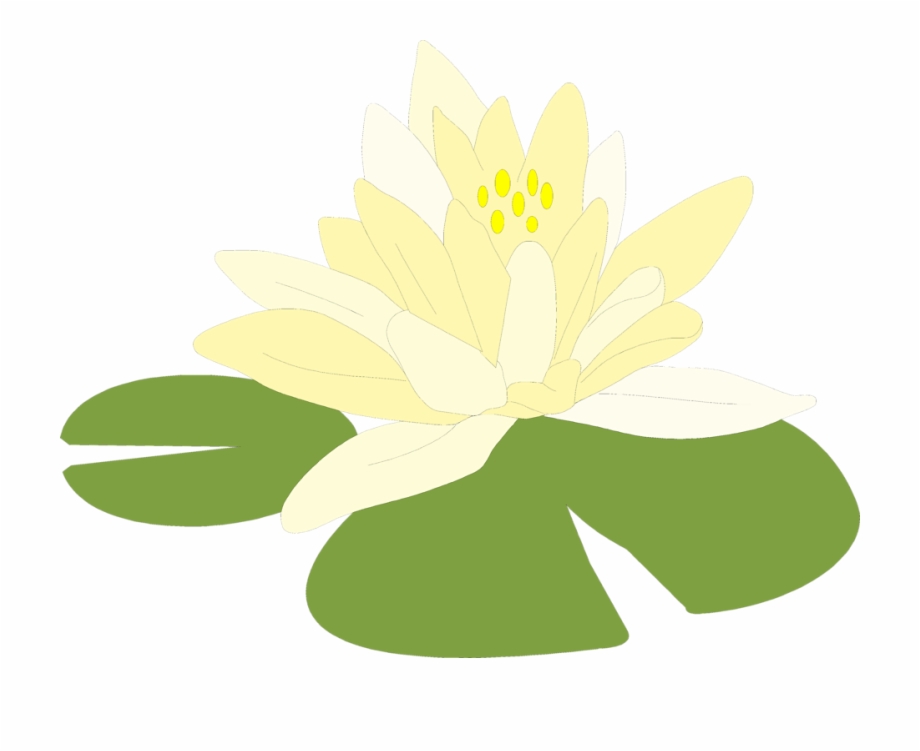 Banner Free Download Lily Pad Flower Clipart