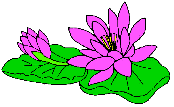 Free lily cliparts.