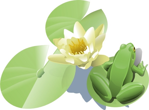 Leland Mcinnes Frog On A Lily Pad clip art Free vector in