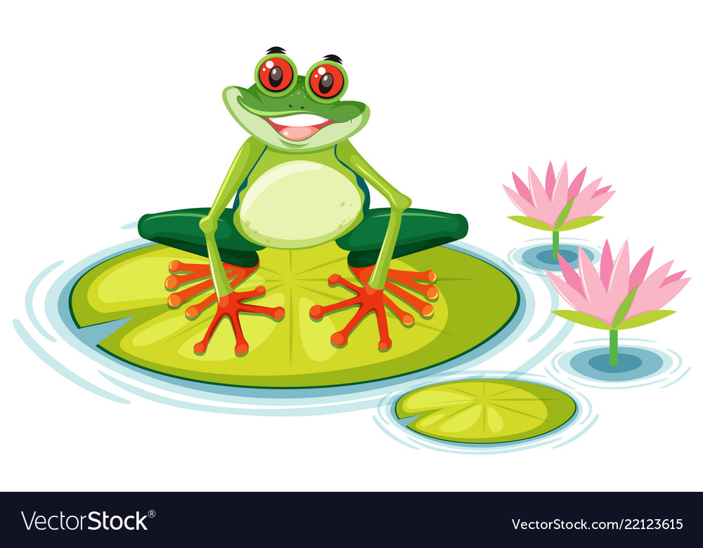 A red eyed tree frog on lily pad