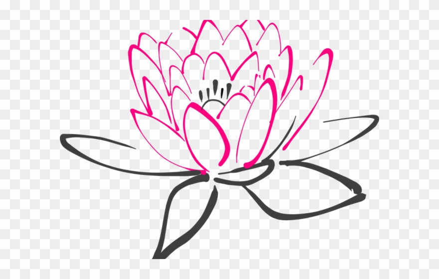 lily pad clipart flower