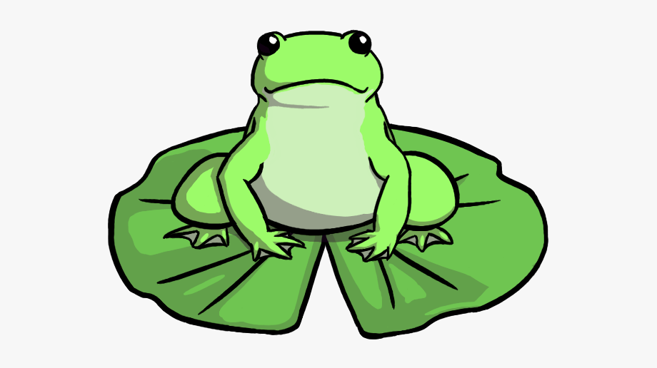 Frog On Lily Pad Drawing , Transparent Cartoon, Free