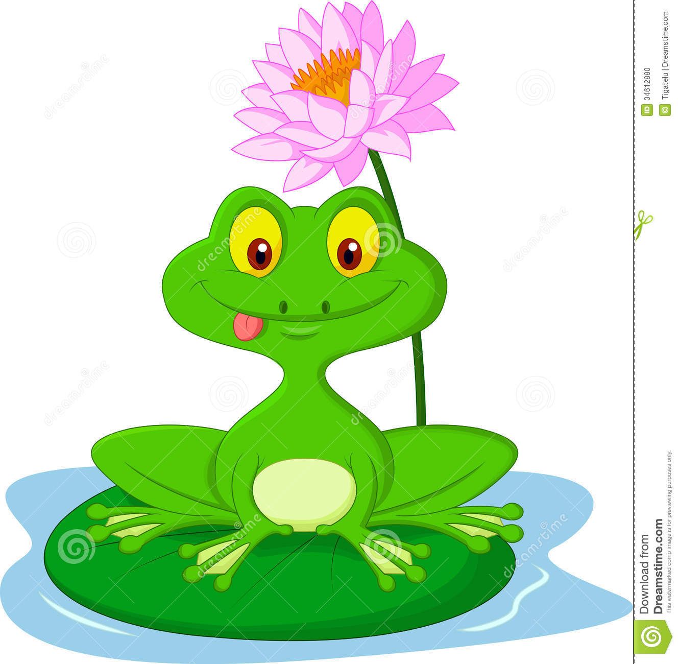 Rainbow Frog On Lily Pad