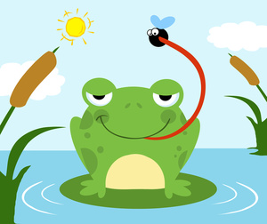 Free Pond Clipart Image