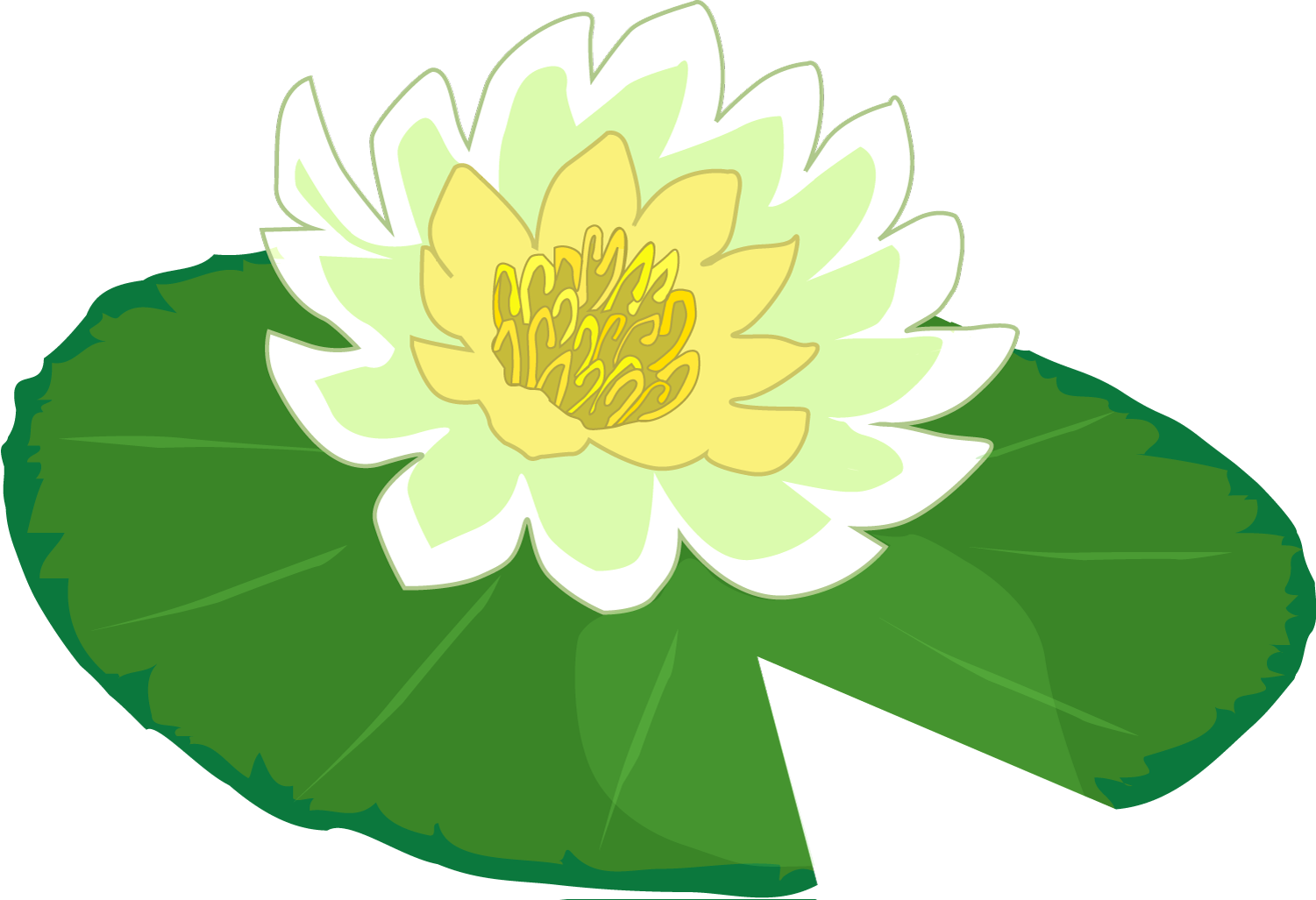 Lake clipart lily.