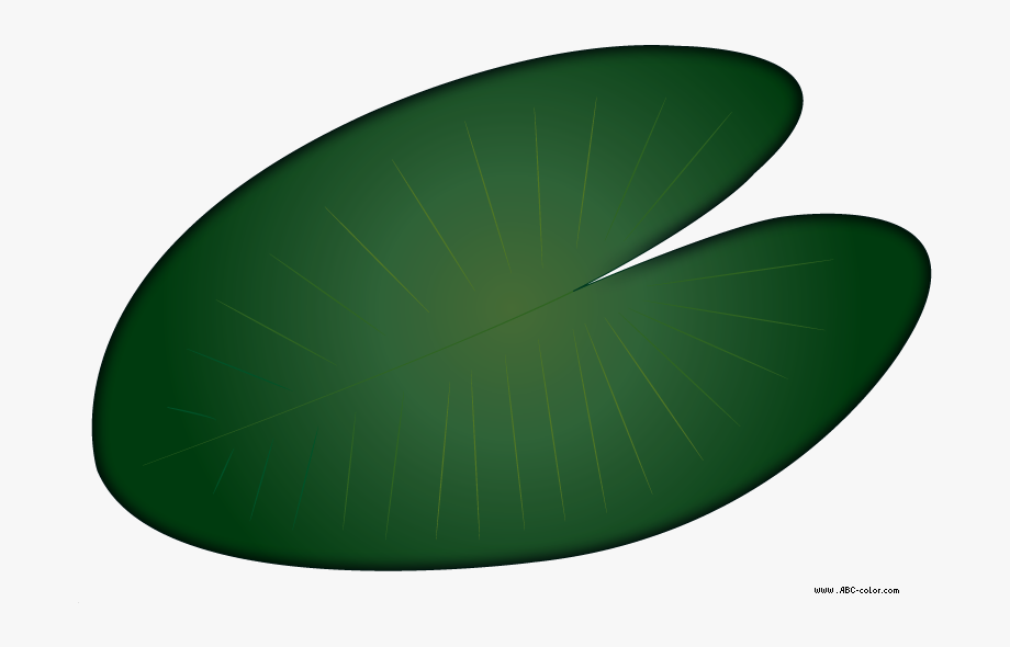 Leaf Clipart Lily Pad