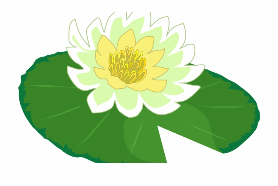 White Flower Water Lily Clipart The Cliparts Png Clipartix