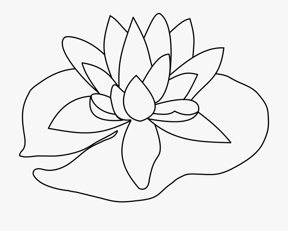 Lily Pad Flower Png Black And White