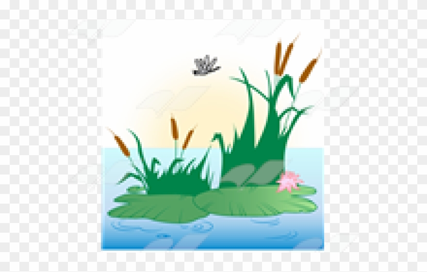 Lily Pad Clipart Pond Scene