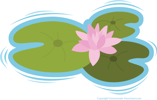 Lily pad picture.