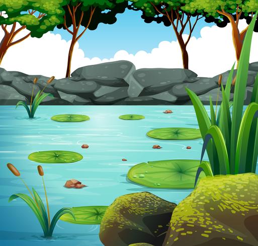 lily pad clipart pond scene