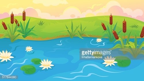 Pond with reeds.