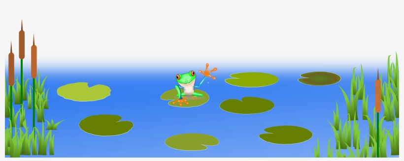 Frog bluish pond.