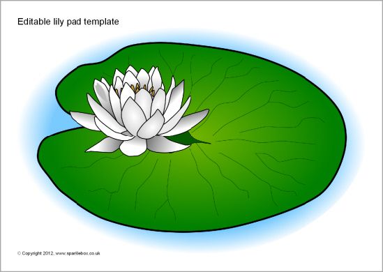 lily pad clipart single
