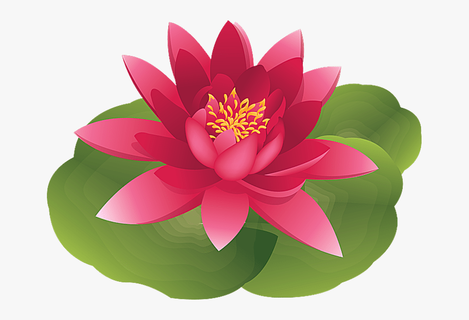 Lily Pad Clipart Pink