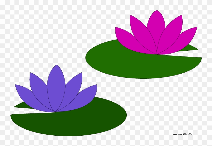 Go Back Gallery For Lily Pad Flower Clipart