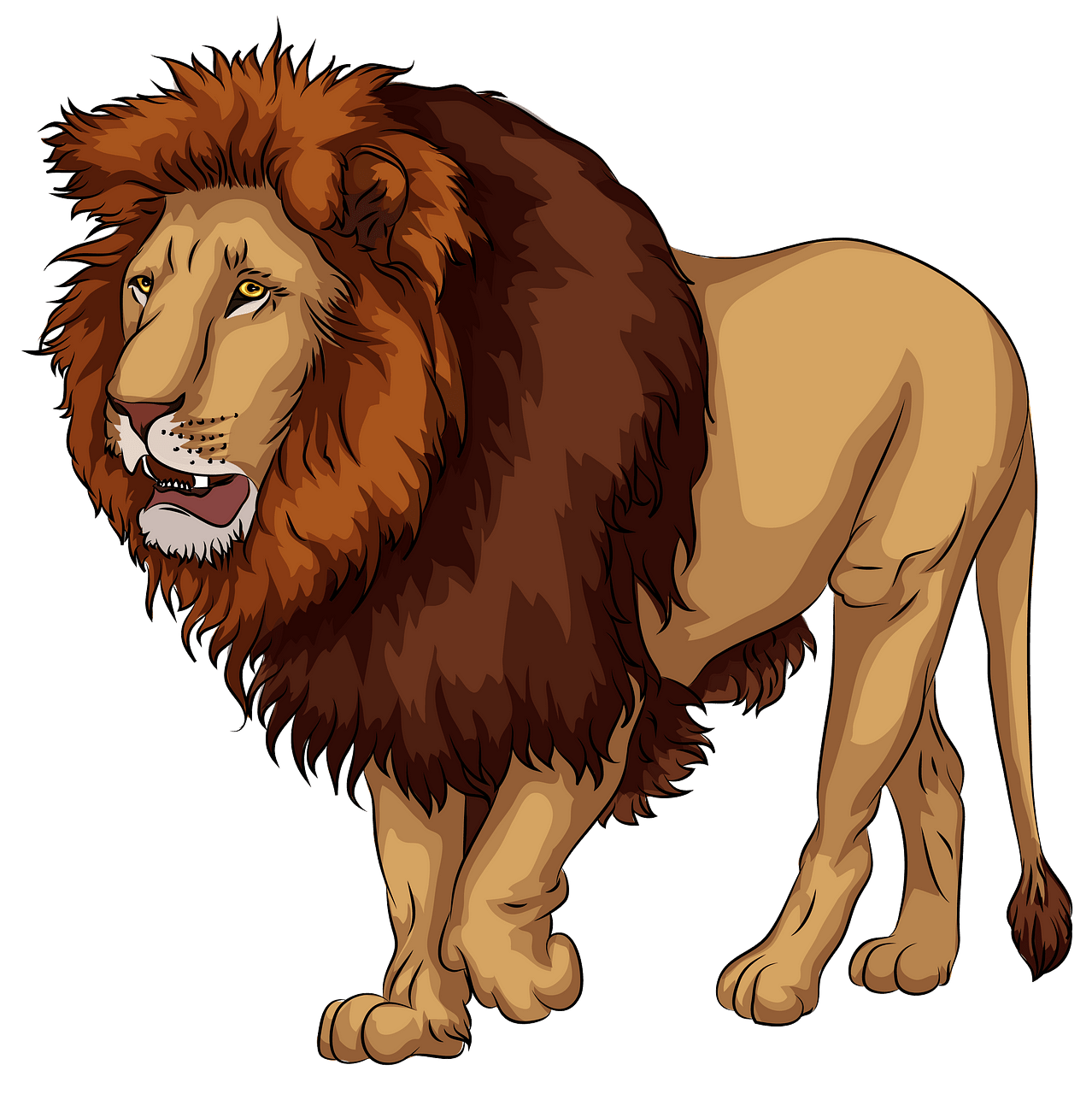 African lion clipart.