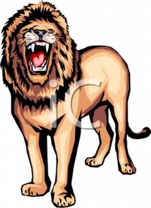 Fierce roaring lion.