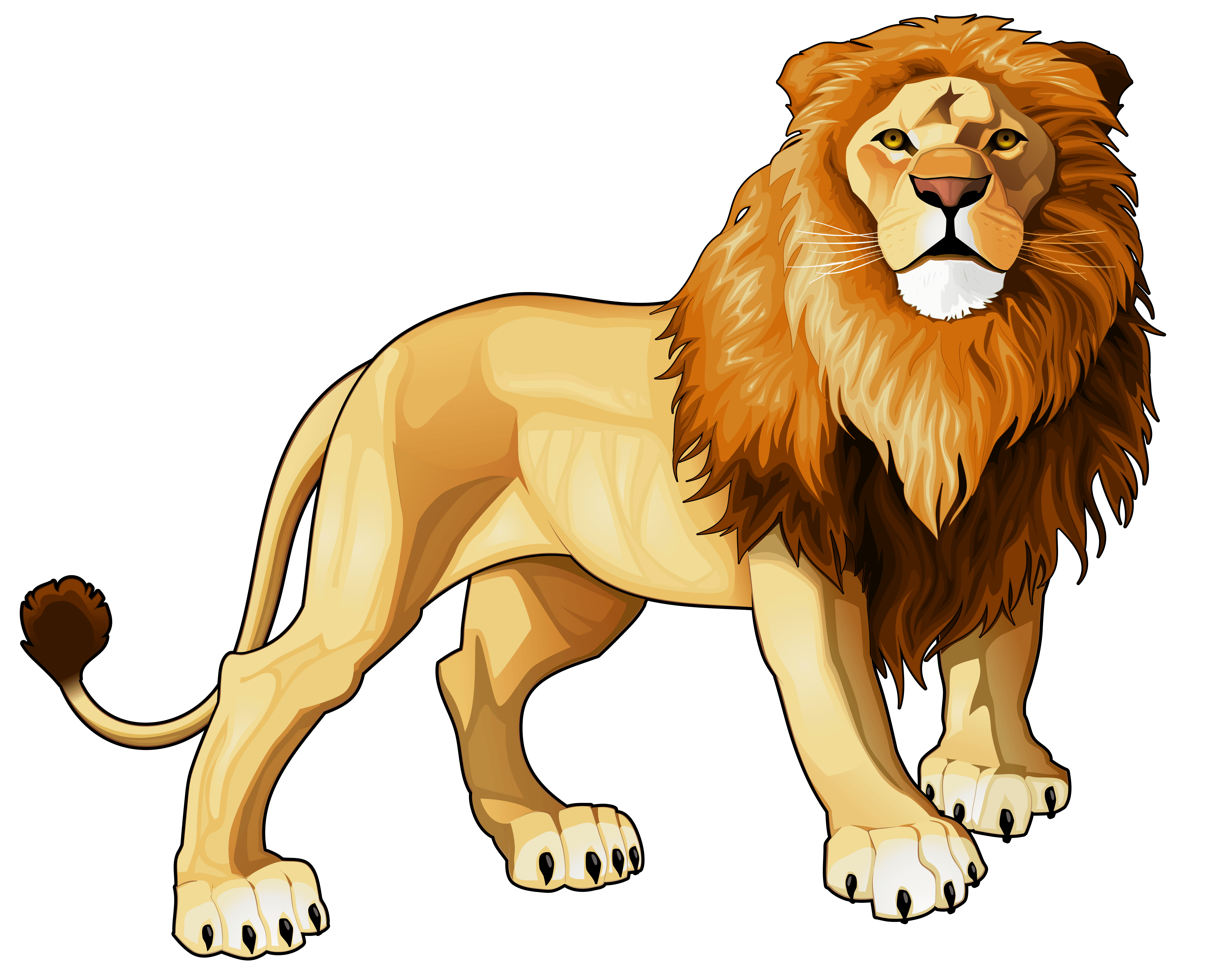 African lion cliparts.