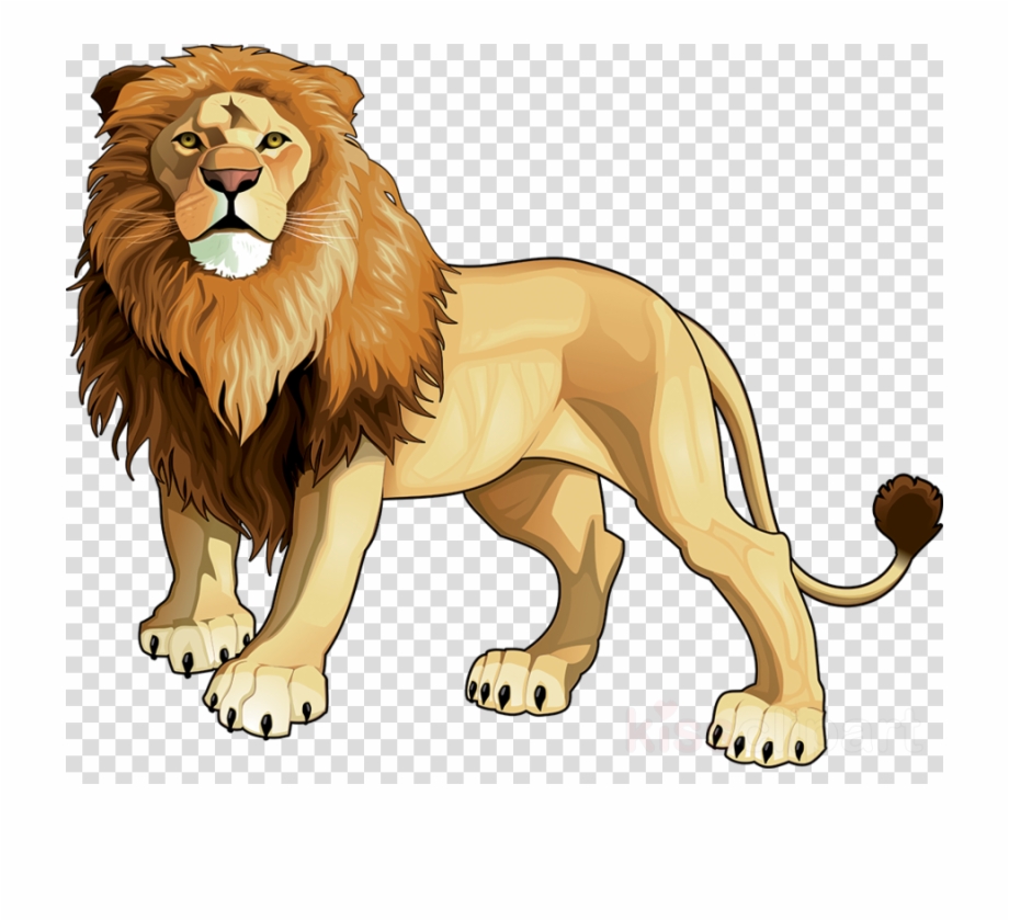 Vector lion clipart.