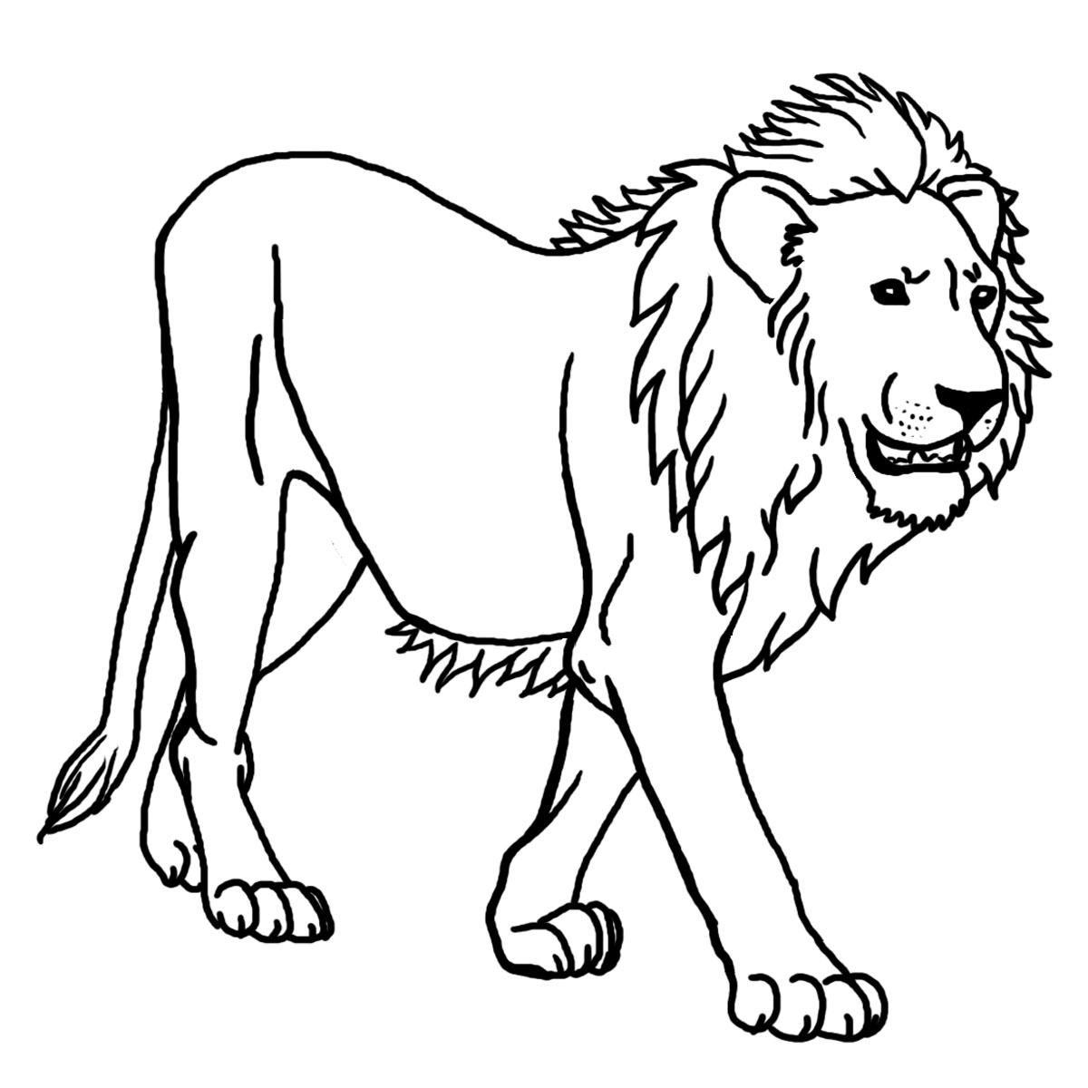 Free lion outline.